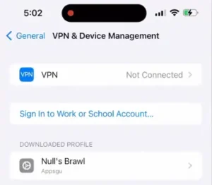 Null's Brawl iOS IPA 5 Null's Brawl IPA Profil