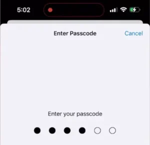 Null's Brawl iOS IPA 6 Passcode eingeben
