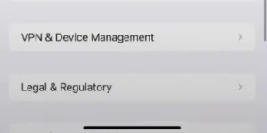 Null's Brawl iOS IPA 4 VPN und Geraeteverwaltungseinstellungen